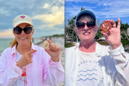 article image - SHELL FIND B1-2